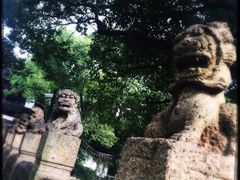 汇龙潭-汇龙潭