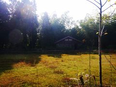 -重庆雨台山风景区