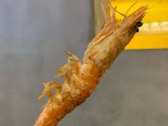 -九府羊·鲜羊火锅·烤串(新华路店)