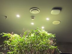 -森SPA·泰式按摩·精油Massage(宝安中心店)