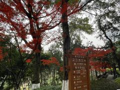 -龙头寺公园