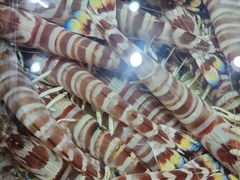 -强记海鲜·大排档(蛇口新街店)