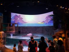 -沈阳海洋探索中心