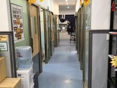 -伟伟宠物医院·瑞派猫友好医院·猫科(光谷店)