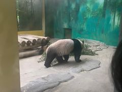 -杭州野生动物世界