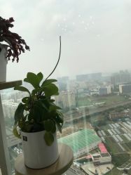 -久匠半永久纹眉