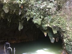 -怀托摩萤火虫洞