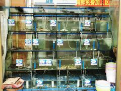 -祝家饺子馆