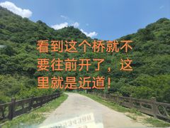 -麻城大别山桐枧冲瀑布群风景区