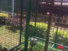 -瑞博尔花园酒店(太周创新产业园店)