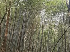 -敬亭山风景名胜区