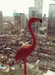 -汐月Health纤体spa中心