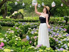 -名花谷生态庄园