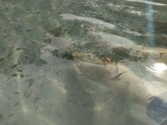 -天赐温泉
