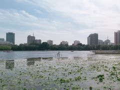 -莲花池公园