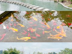 -成飞公园