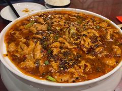 -邵年鸽(杨庄店)