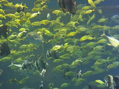 -鄂尔多斯野生动物园