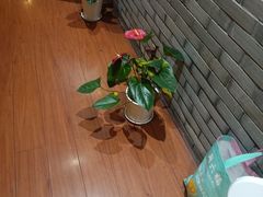 -养心阁足道馆(火宫殿一店)