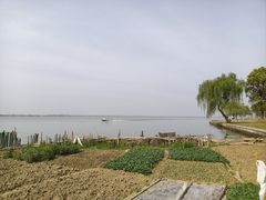 -阳澄湖半岛旅游度假区