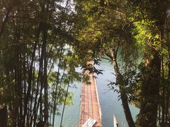 -广州市流溪河国家森林公园
