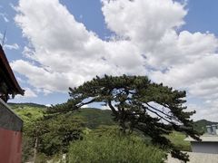-妙峰山风景名胜区