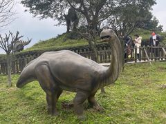 -自贡恐龙博物馆