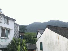 android_upload_pic-礼耕堂·百年茶人餐厅(梅家坞店)