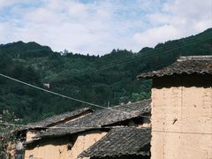 -杨家堂村