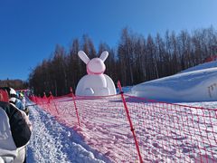 -长白山红松王滑雪场