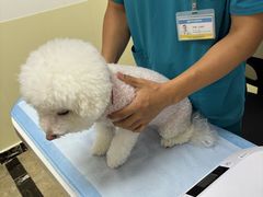 -美联众合动物医院·24h转诊中心