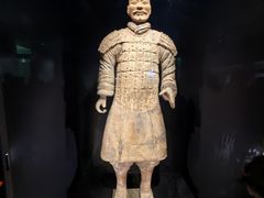 -陕西历史博物馆