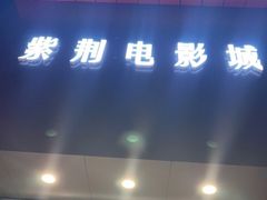 -太平洋影城(紫荆店)