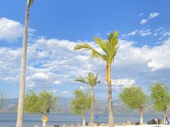 -西昌邛海湿地