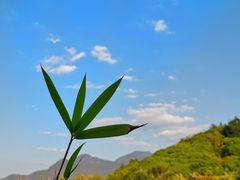 -广州从化都喜泰丽度假温泉酒店
