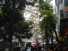 -黄埔古港