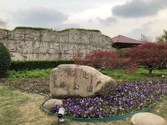 -嘉定紫藤园