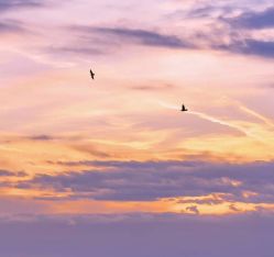 -时尚工厂·科学染发