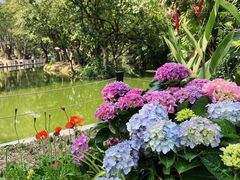 -人民公园(罗湖区)