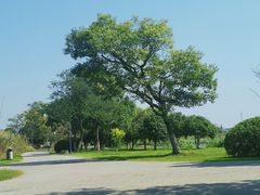 -梁鸿国家湿地公园