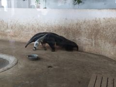 -石家庄市动物园