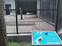 -广东茂名森林公园