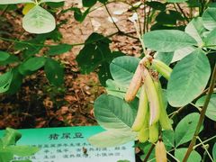 -昆山城市生态森林公园