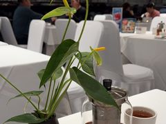 -眉州东坡(国贸店)