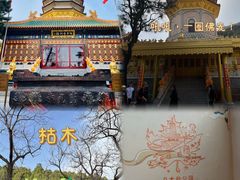-八大处公园