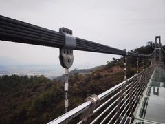 -南丹山森林王国