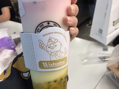 鲜百香乳酸钙奶-娃哈哈·奶茶(武林店)