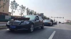 -蚂蚁婚车