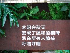 -橡皮书店(翠湖北路店)