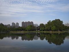 -堤角公园